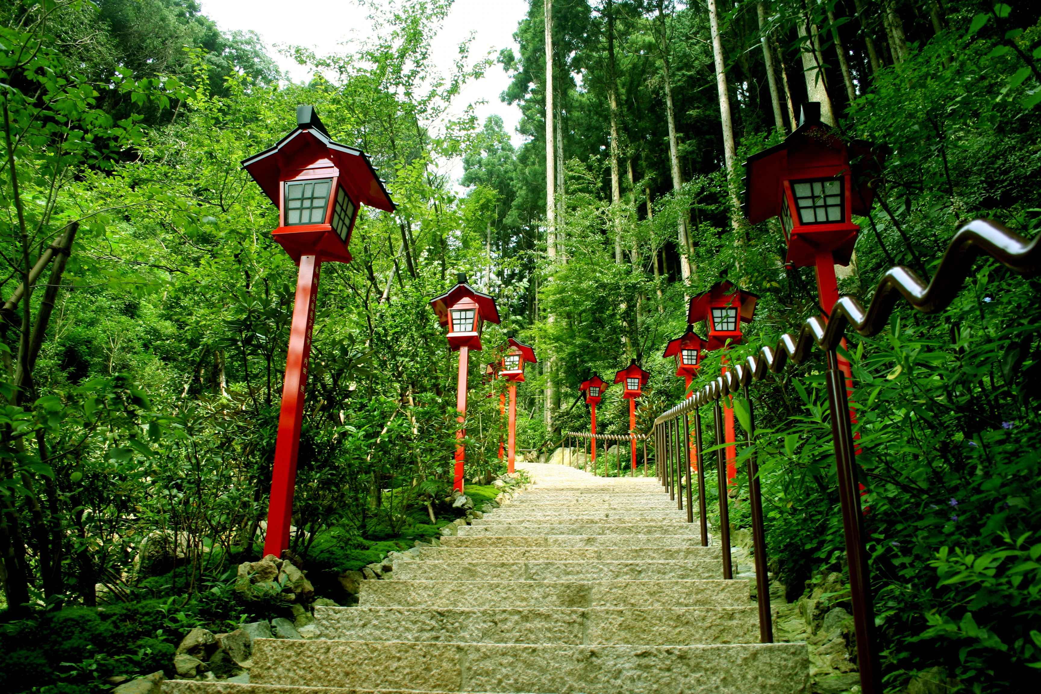🌿 이타바시 구립 열대환경식물관 (이타바시 구리쓰 넷타이칸쿄쇼쿠부쓰칸) 이미지 8
